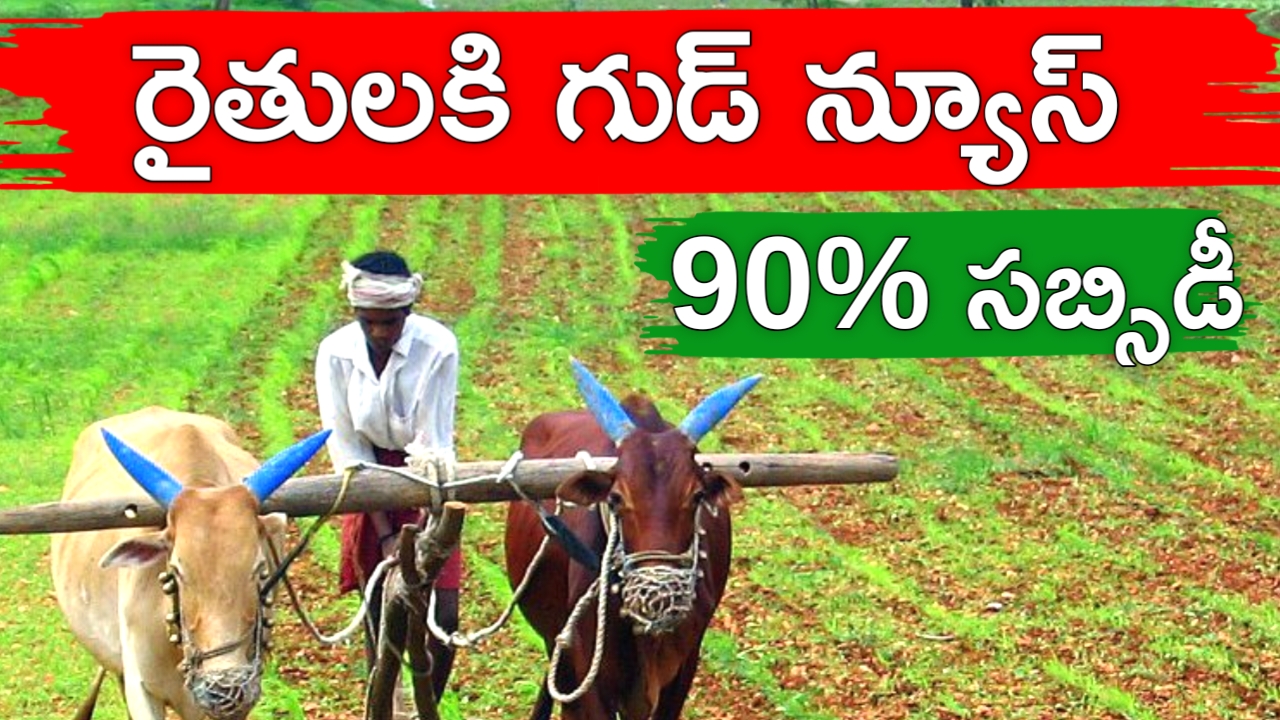 Subsidy Scheme