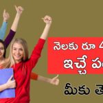 Ap Mission Vastalya Scheme 2025